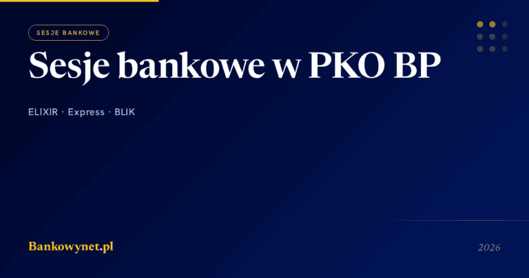 Hero ilustracja artykułu bankowynet.pl