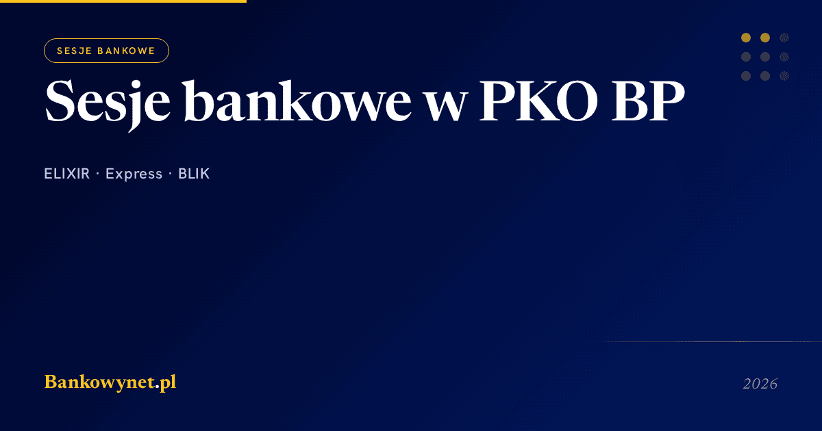 Hero ilustracja artykułu bankowynet.pl