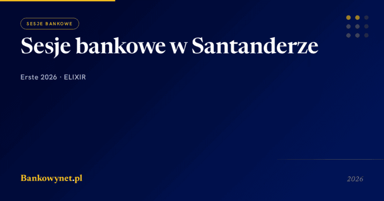 Hero ilustracja artykułu bankowynet.pl