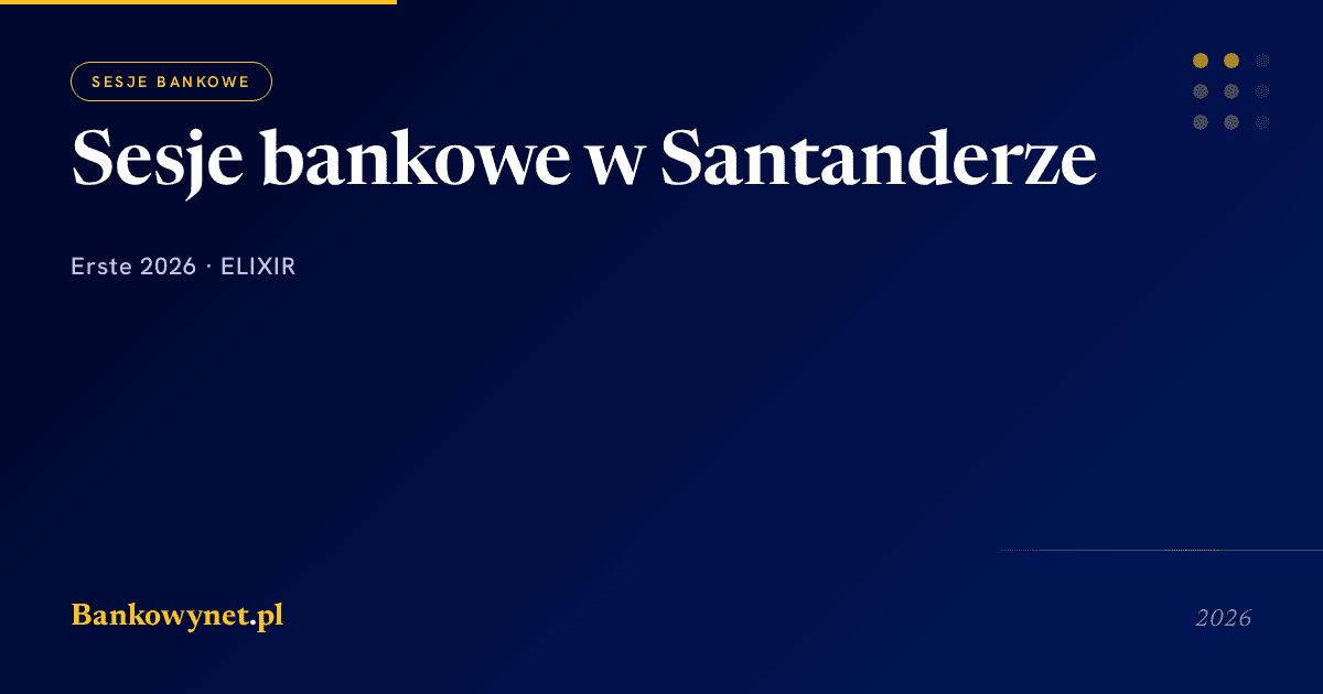 Hero ilustracja artykułu bankowynet.pl
