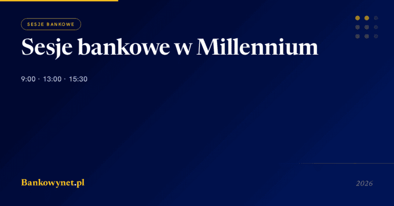 Hero ilustracja artykułu bankowynet.pl