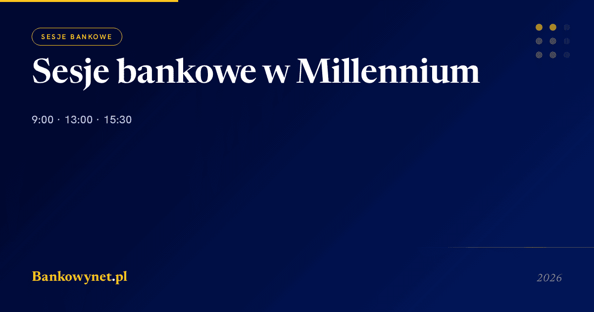 Hero ilustracja artykułu bankowynet.pl
