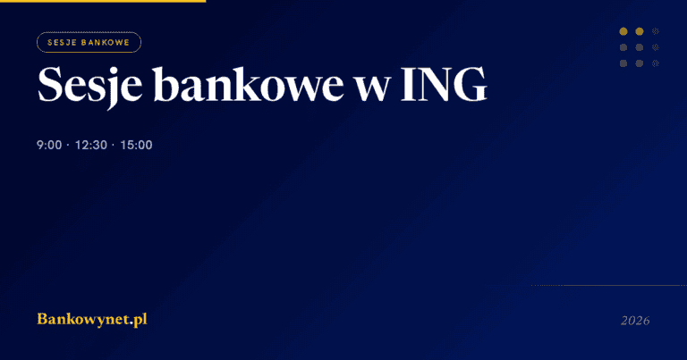 Hero ilustracja artykułu bankowynet.pl