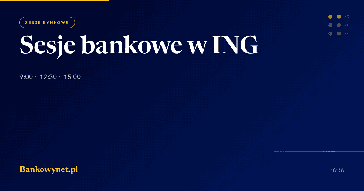 Hero ilustracja artykułu bankowynet.pl