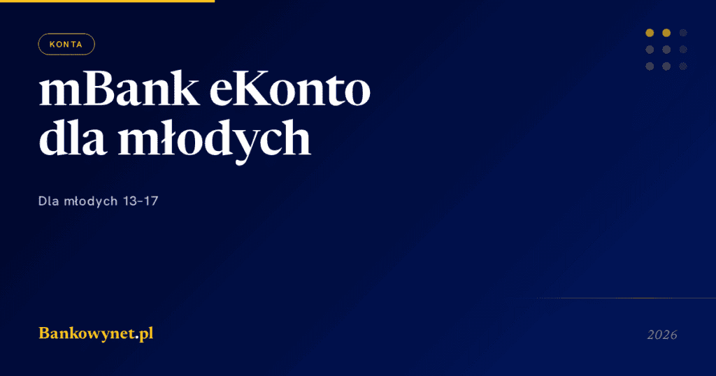 Hero ilustracja artykułu bankowynet.pl
