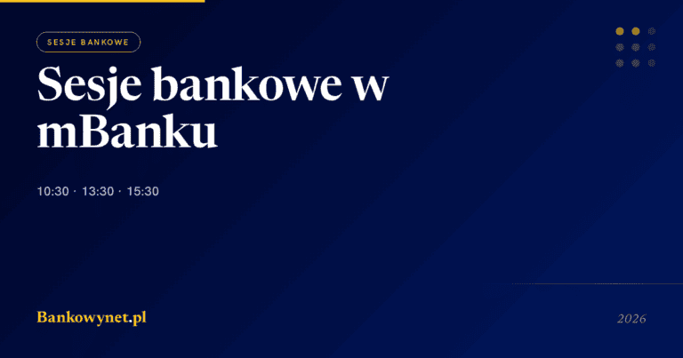 Hero ilustracja artykułu bankowynet.pl