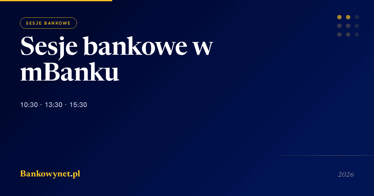 Hero ilustracja artykułu bankowynet.pl